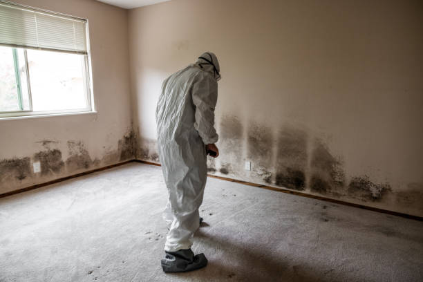 Mold Documentation for Insurance Claims in Fairland, OK